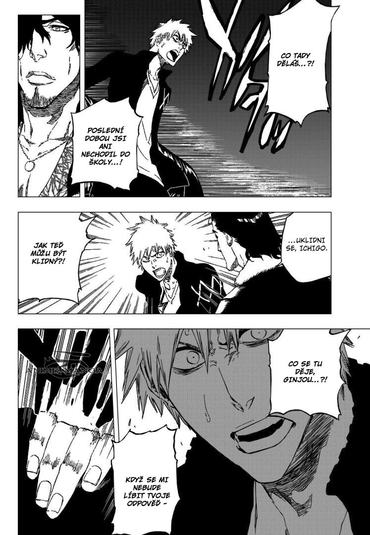 bleach-ch433-03 kopie.jpg